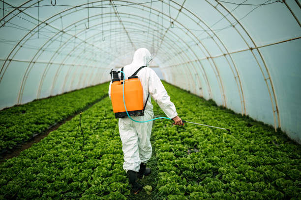 Best Commercial Pest Control Services  in Westport Village, CT
