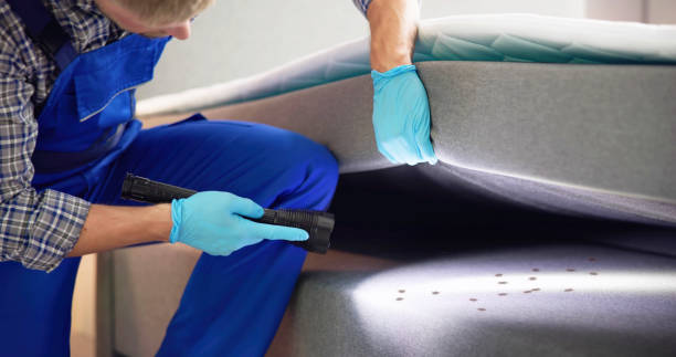 Best Flea Control Services  in Westport Village, CT