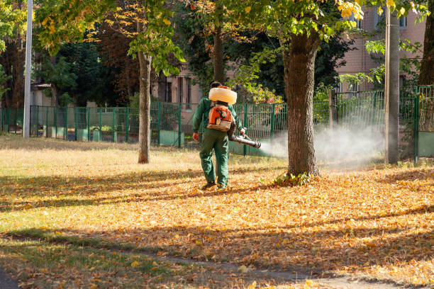 Best Affordable Pest Control Services  in Westport Village, CT