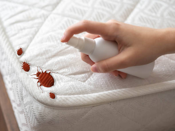 Best Affordable Pest Control Services  in Westport Village, CT