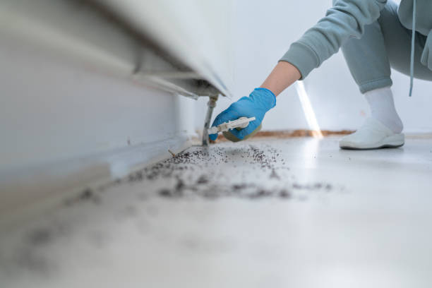 Best Emergency Pest Control  in Westport Village, CT